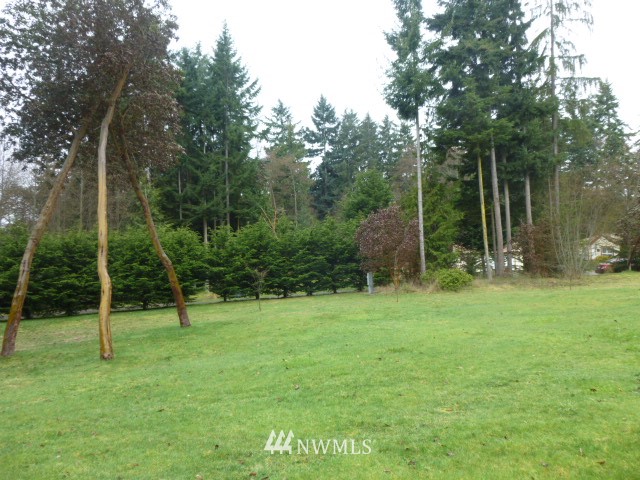 556 Gasman Road Port Angeles, WA 98362 - Photo 17 of 19 a view of outdoor space with deck and trees