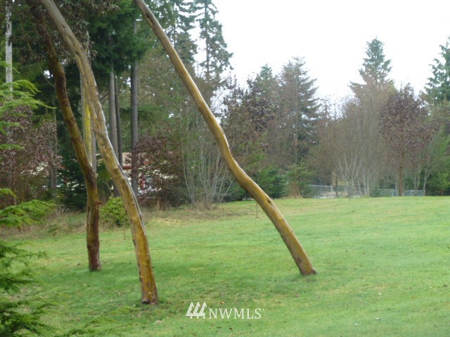 556 Gasman Road Port Angeles, WA 98362 - Photo 5 of 19 a view of a backyard