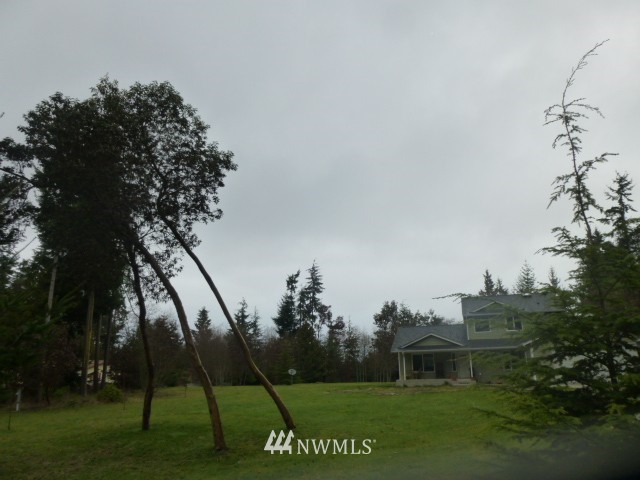 556 Gasman Road Port Angeles, WA 98362 - Photo 9 of 19 a view of a park with a tree
