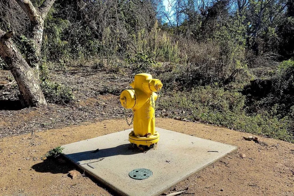 0 Mesa Crest Road Valley Center, CA 92082 - Photo 9 of 12 a view of a yard