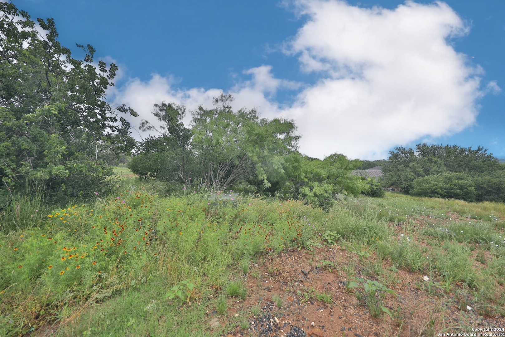 108 Mountain Home Road Horseshoe Bay, TX 78657 - Photo 11 of 22 a view of a green field with lots of bushes