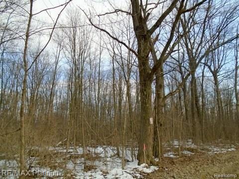 1 Hartland Road Fenton, MI 48430 - Photo 6 of 6
