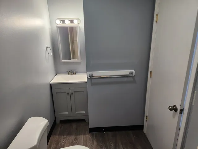 a bathroom with a sink a toilet and mirror