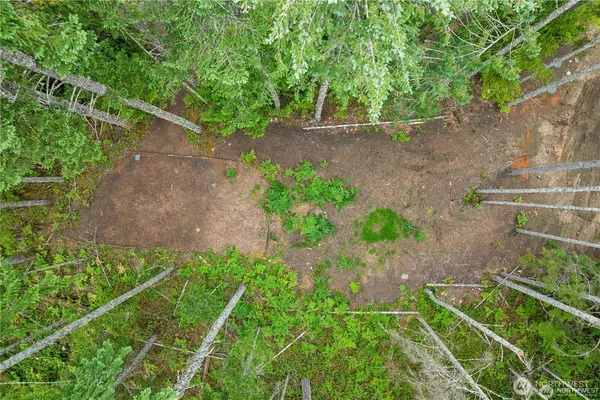 a view of an outdoor space