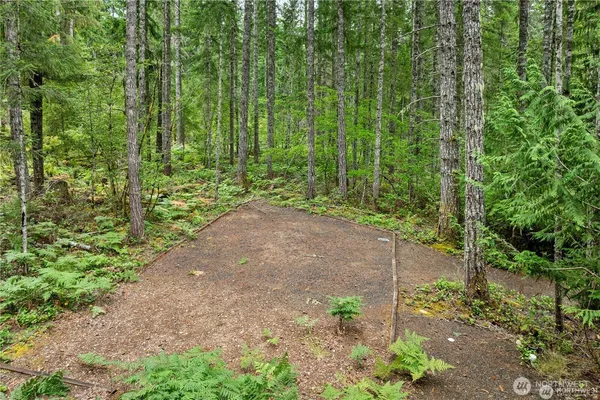 a view of a garden with plants