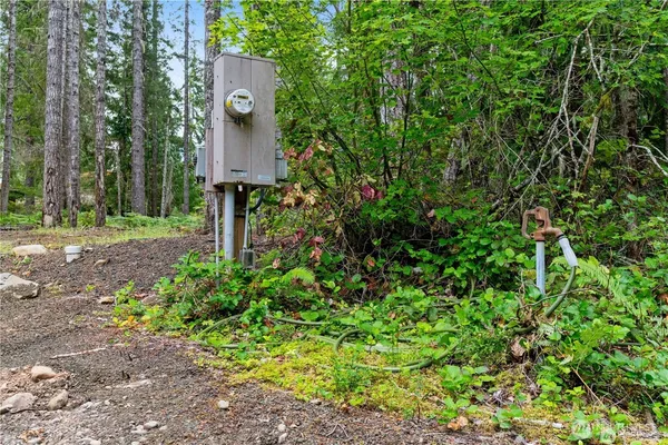 a view of a house with a garden and a tree