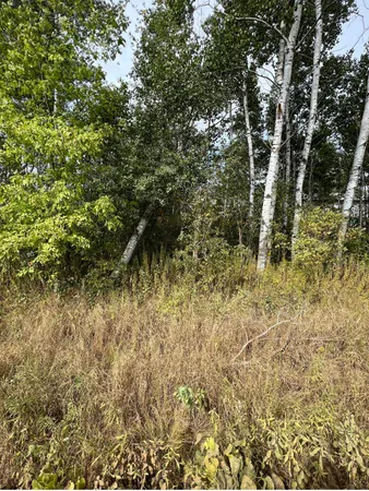 $58,000 | Lot One Kraus Street, Stratford, WI 54484