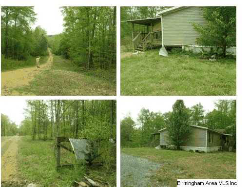 2050 Camp Creek Road Cropwell, AL 35054 - Photo 1 of 3