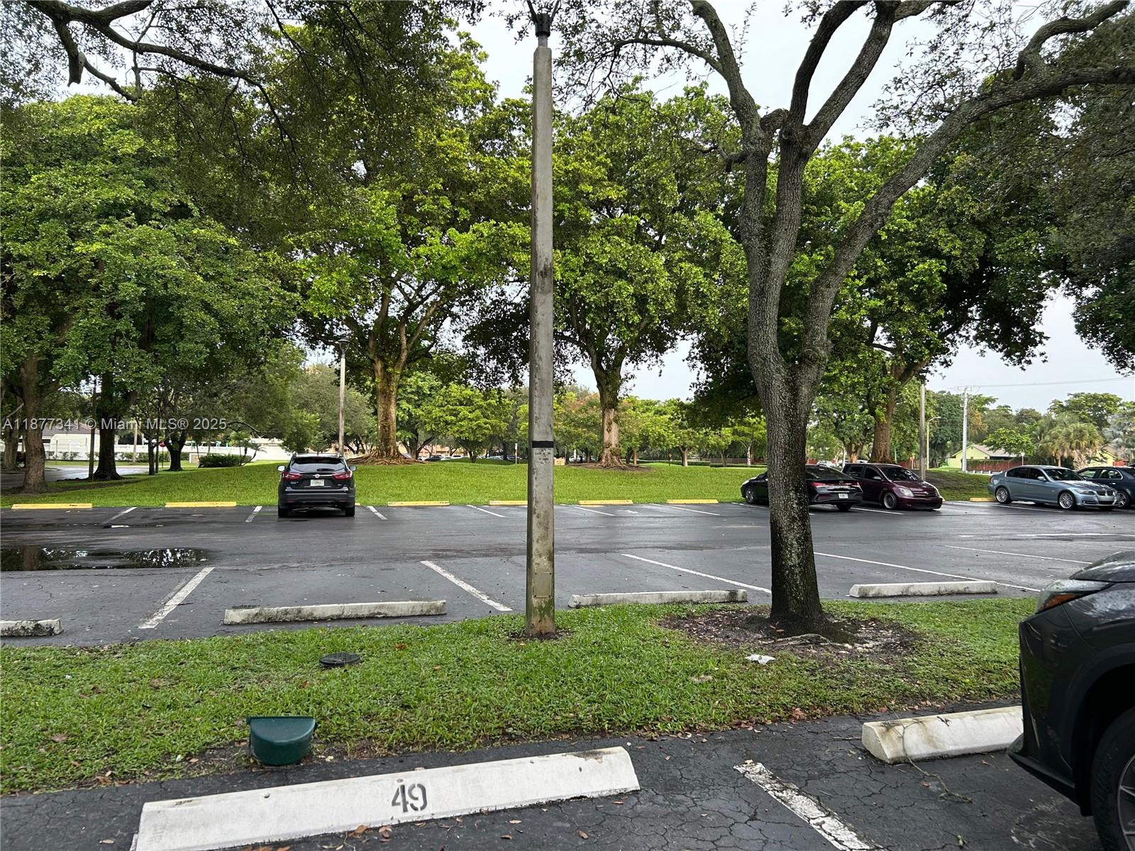 3100 West Rolling Hills Circle, Unit 702 Davie, FL 33328 - Photo 7 of 16 a view of a park with tree s