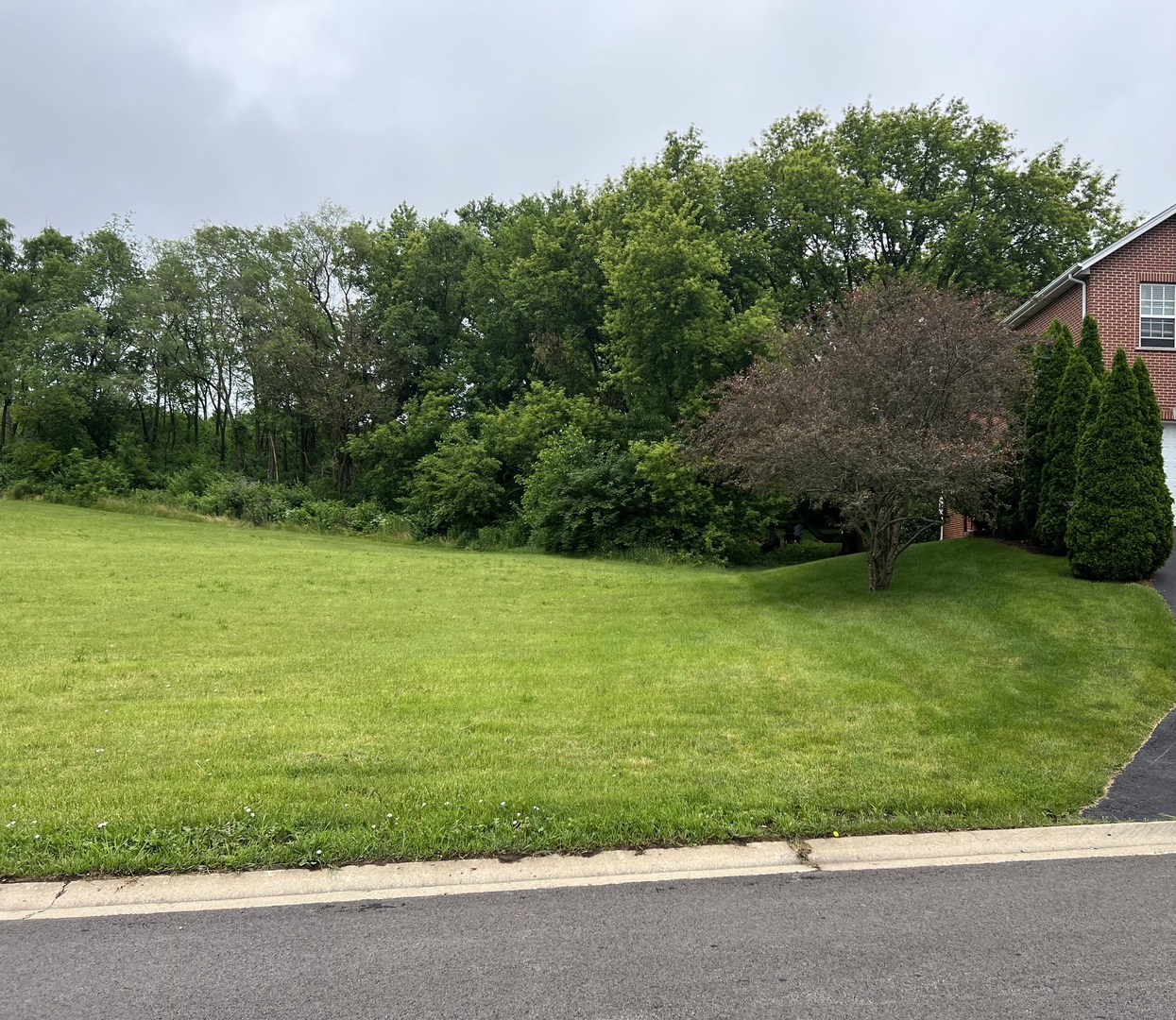 5305 Rita Avenue Crystal Lake, IL 60014 - Photo 6 of 9
