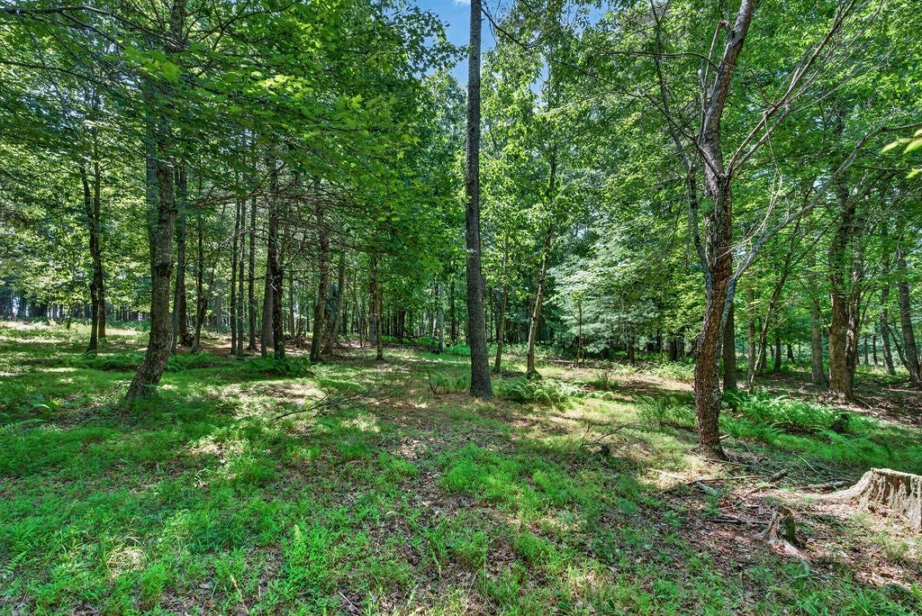 2320 Snow Hill Road, Unit 8 Galax, VA 24333 - Photo 5 of 32 Gallery Image 5