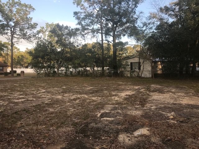 1451 Cane Road Tallahassee, FL 32305 - Photo 5 of 8 Gallery Image 5