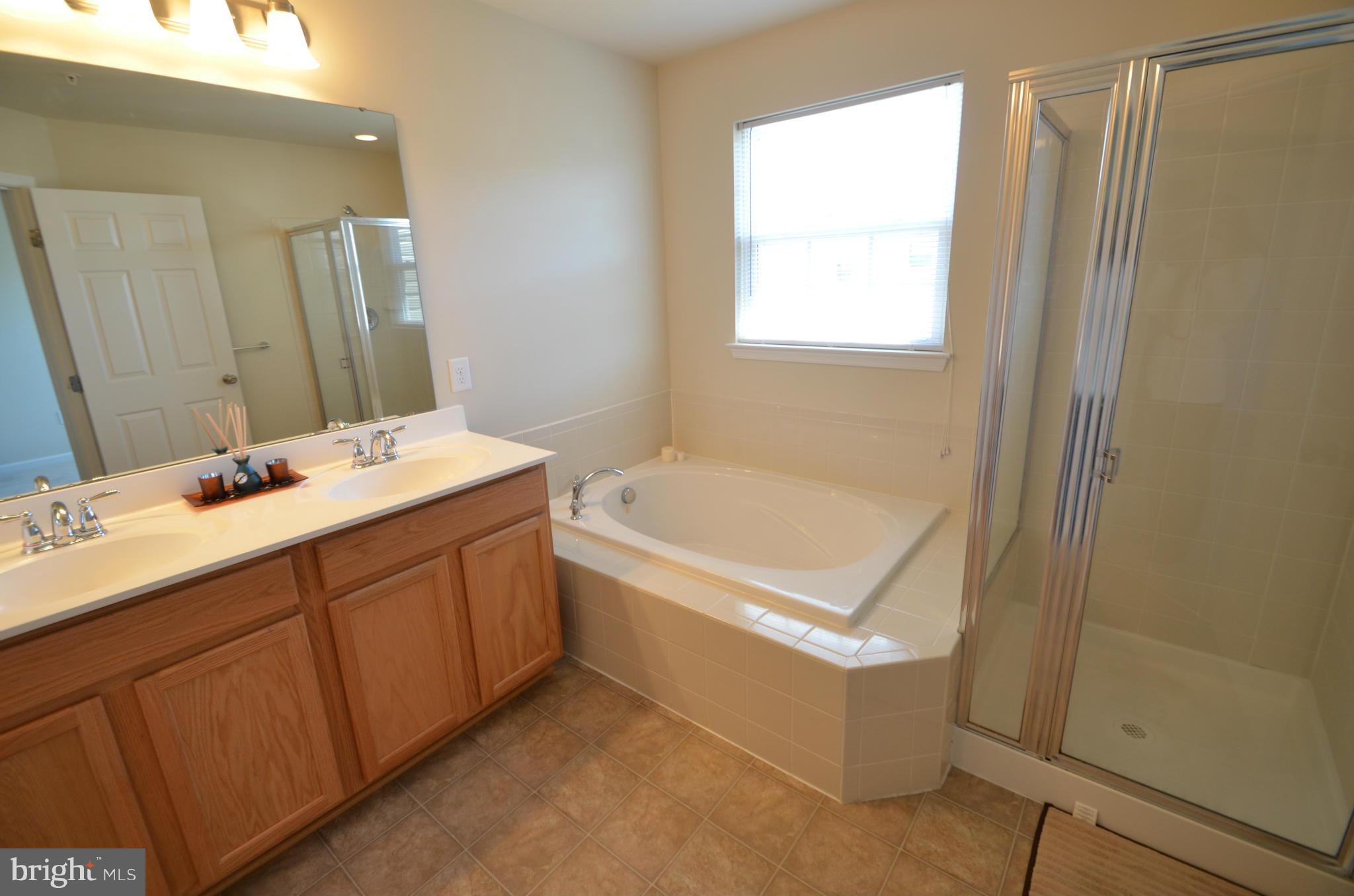 2010 Spring Run Circle Frederick, MD 21702 - Photo 20 of 26 Bath (Master)