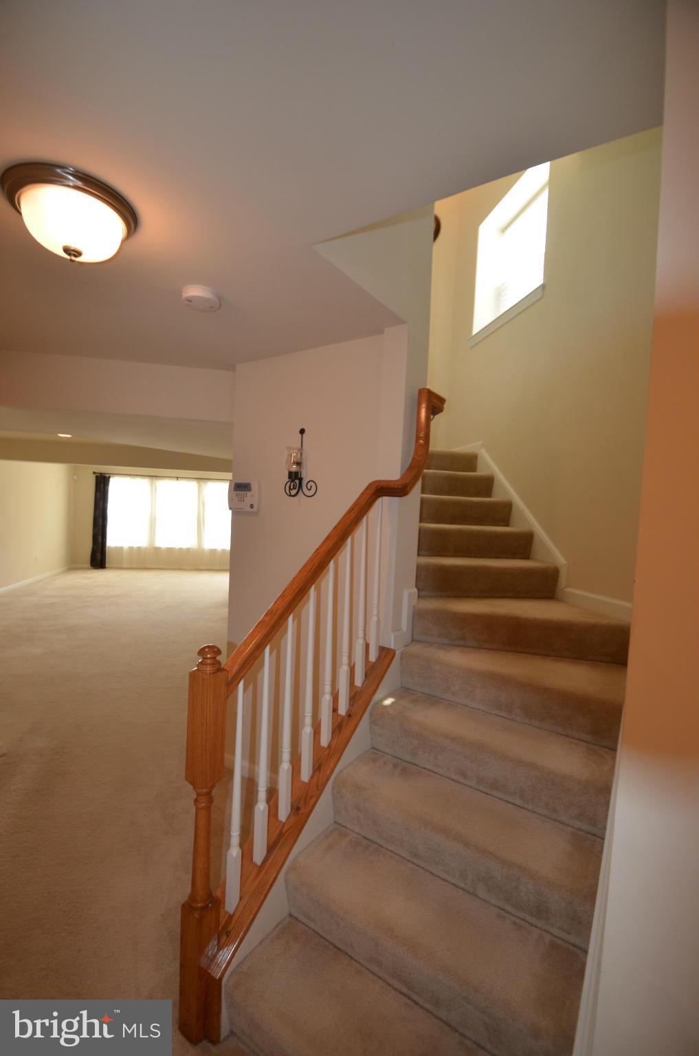 2010 Spring Run Circle Frederick, MD 21702 - Photo 3 of 26 Basement
