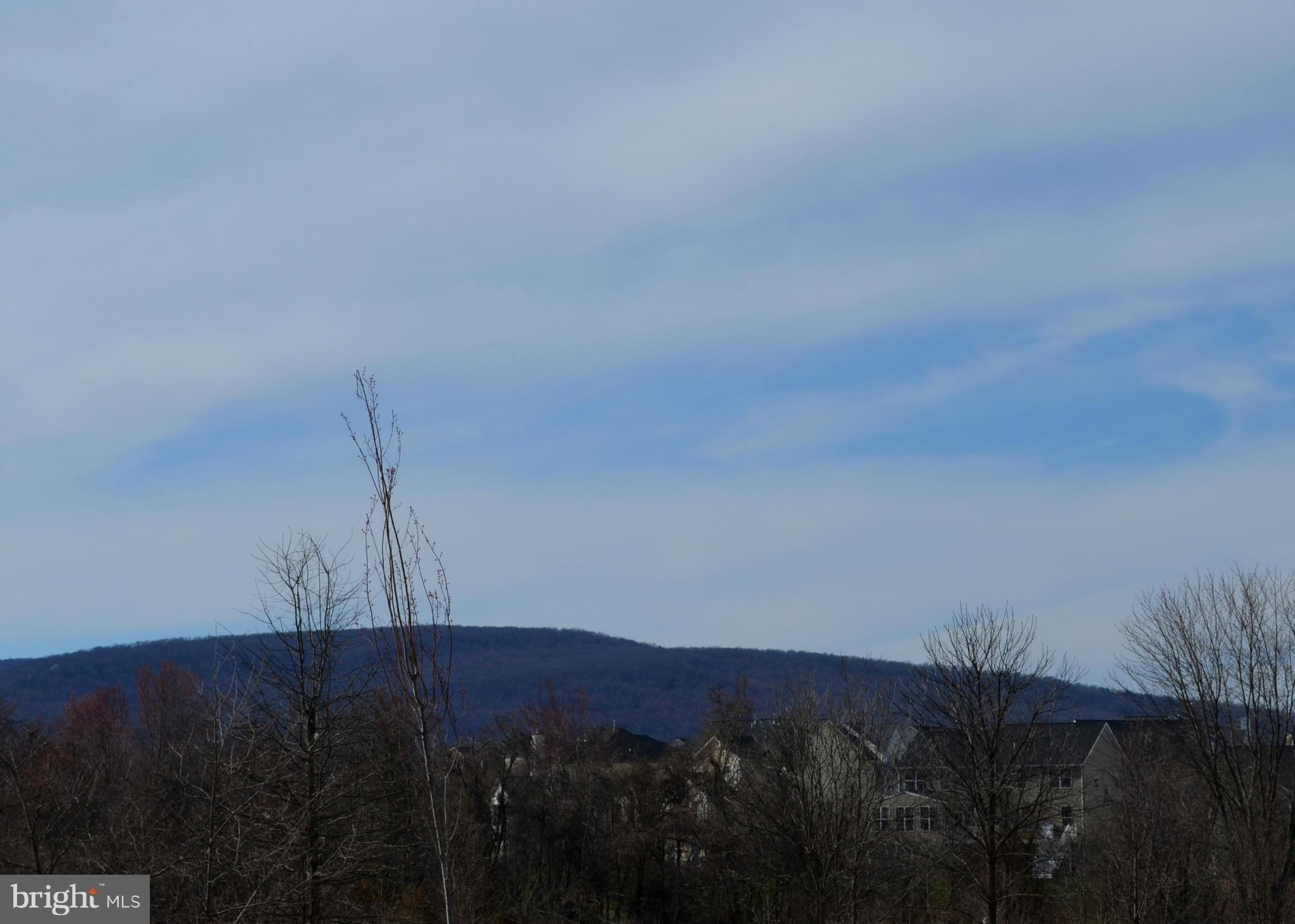 2010 Spring Run Circle Frederick, MD 21702 - Photo 25 of 26 View