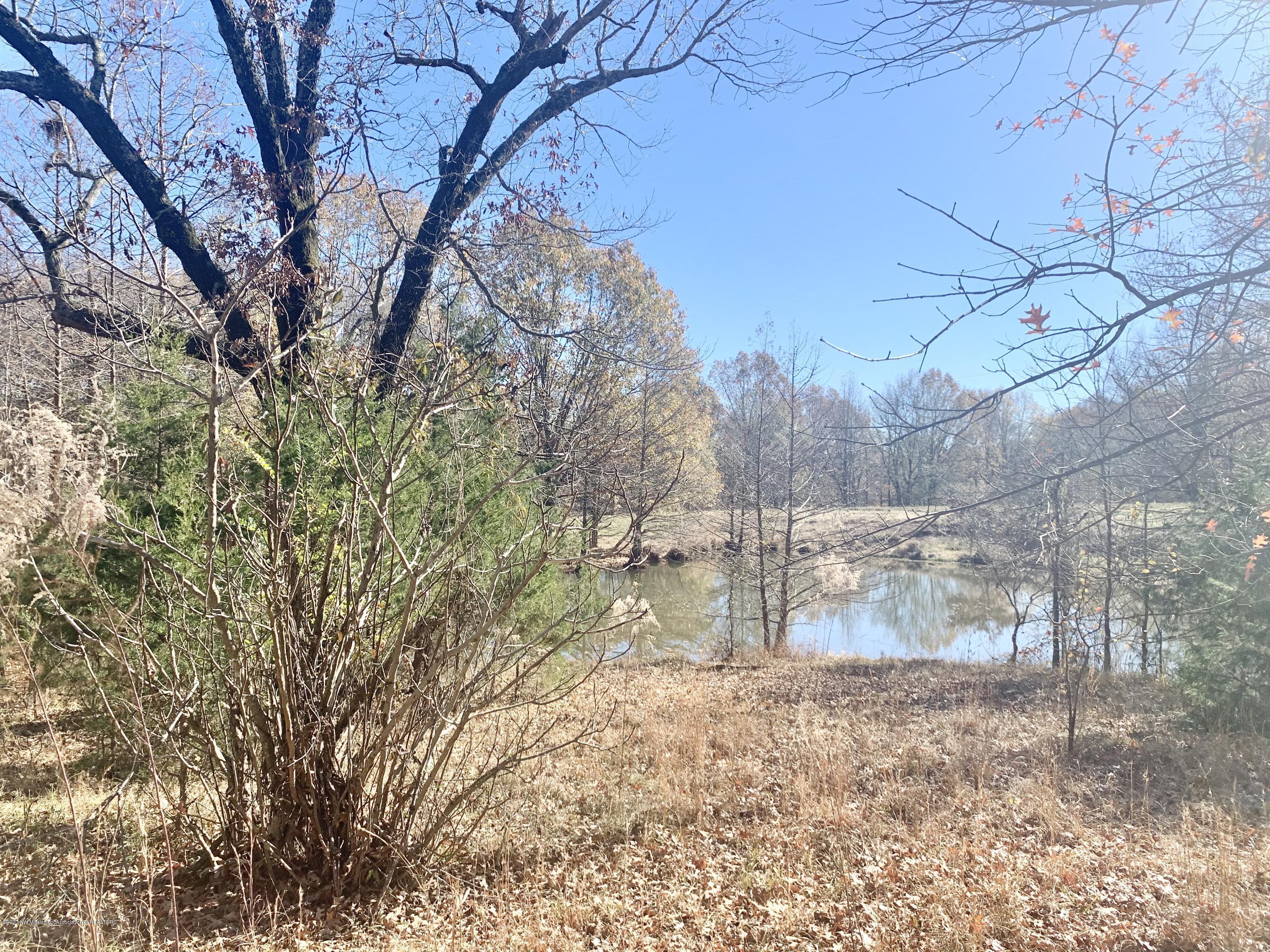 1120 Laughter Road, Unit S Hernando, MS 38632 - Photo 3 of 10 6154A024-3A7D-4D3B-88A6-33F27333647D