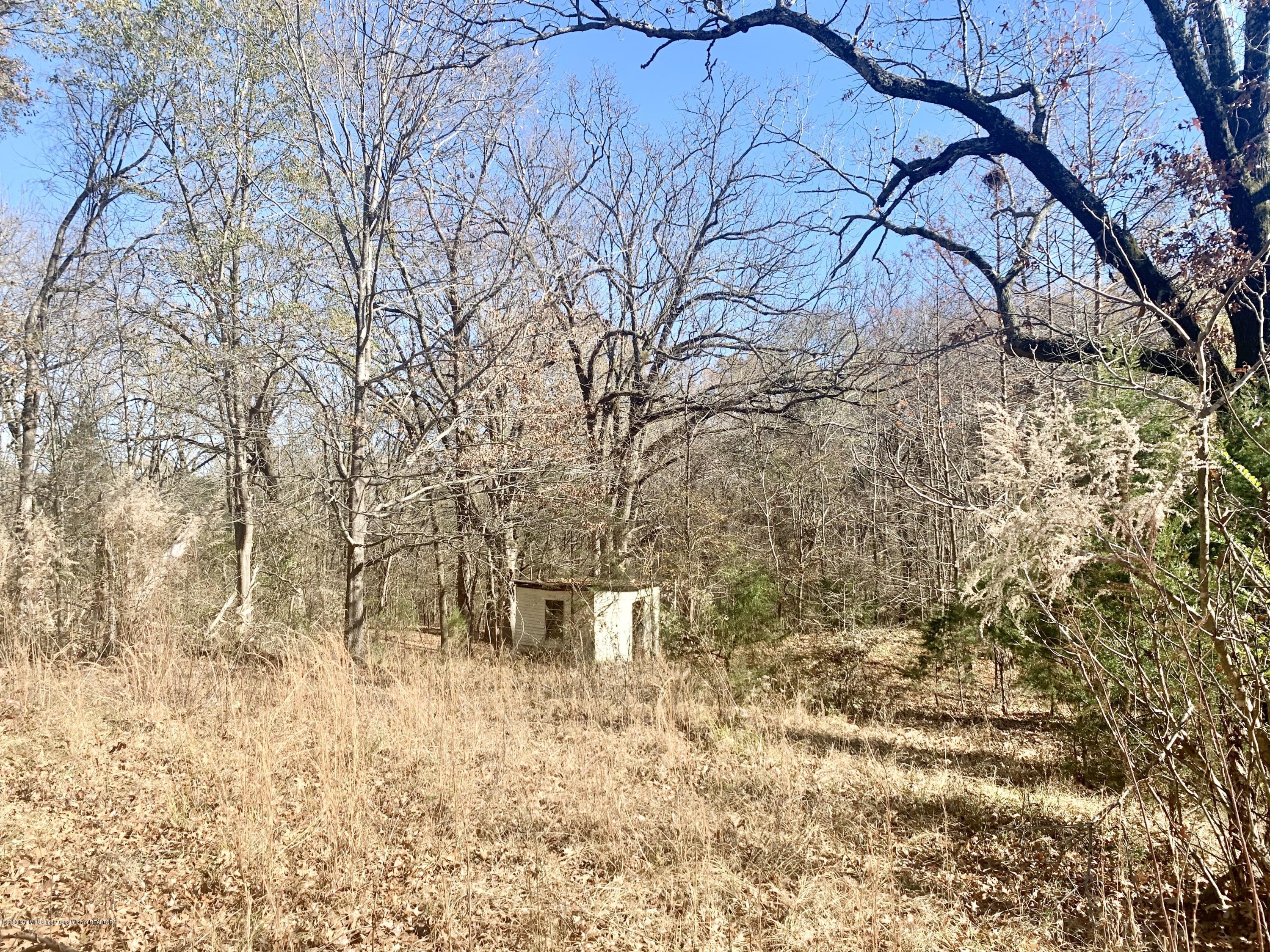 1120 Laughter Road, Unit S Hernando, MS 38632 - Photo 7 of 10 F60CD0A8-B022-415D-B835-A0C67BB67E71