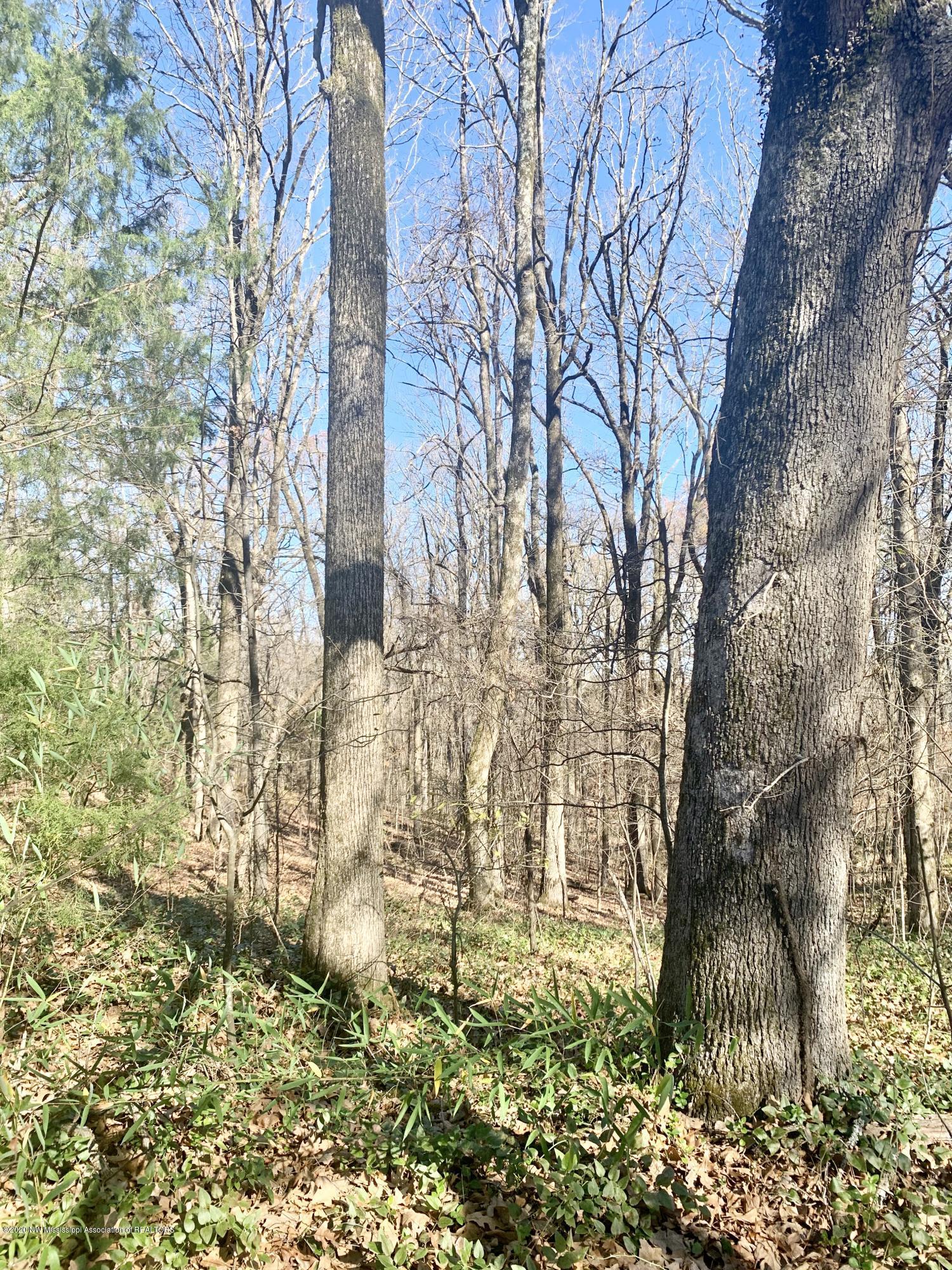 1120 Laughter Road, Unit S Hernando, MS 38632 - Photo 9 of 10 2F780BD8-9B8B-4DAD-8EAC-1142B8A9C7D4