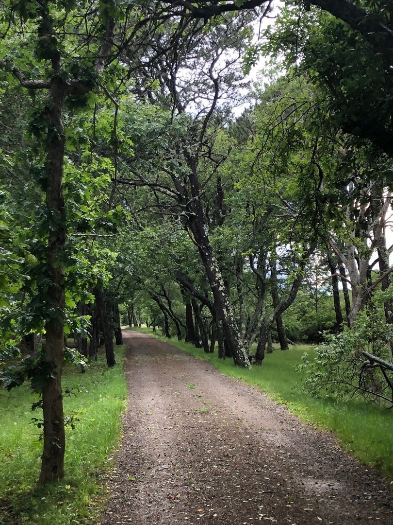 5 Lenssen Way Edgartown, MA 02539 - Photo 4 of 5