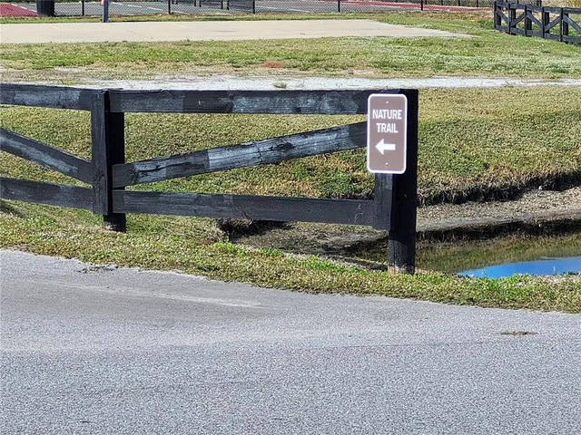 a view of a basket ball ground