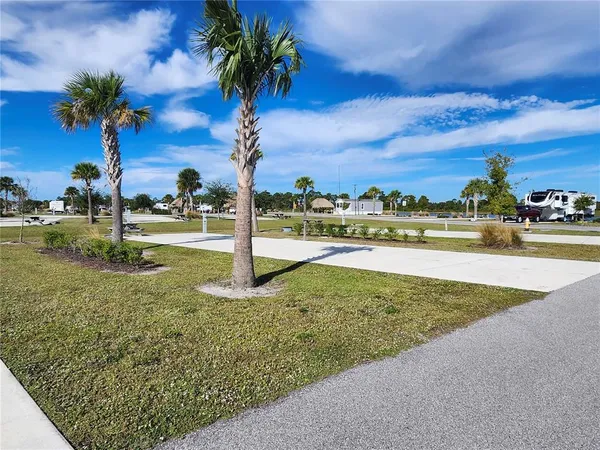a view of a yard with palm trees