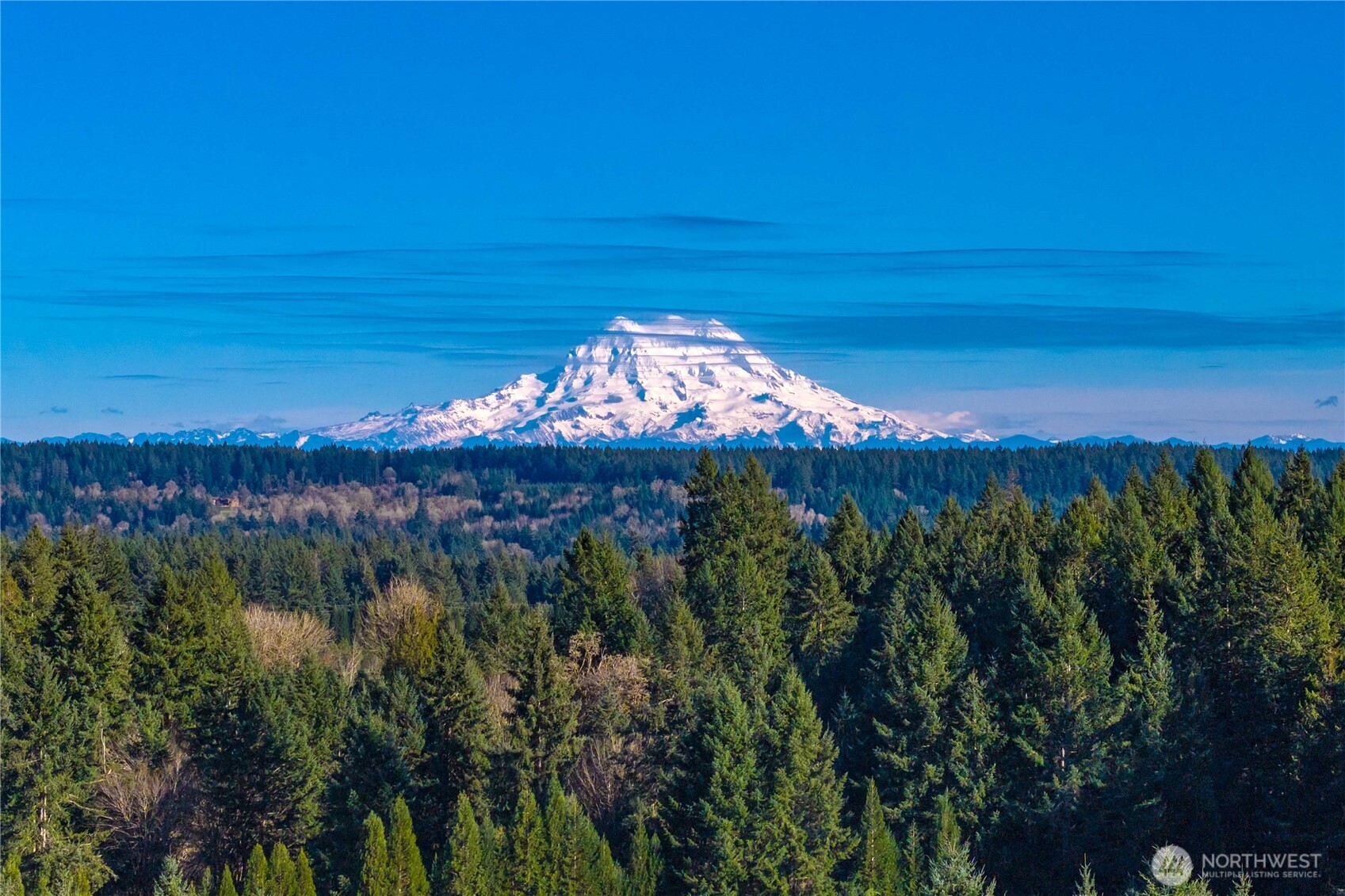 8711 62nd Court Southeast Olympia, WA 98513 - Photo 8 of 8