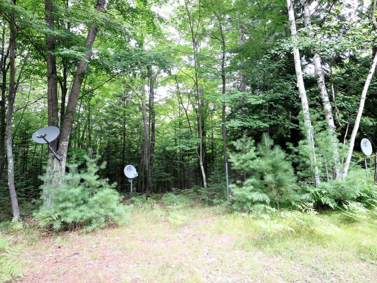 3700-10 Evergreen Road Eagle River, WI 54521 - Photo 14 of 25 Gallery Image 14