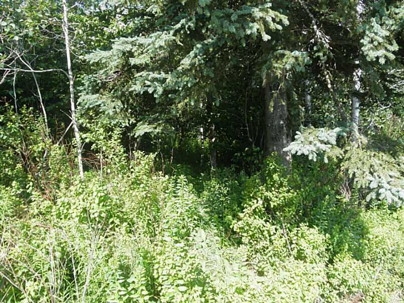 47 Pulpit Harbor Road North Haven, ME 04853 - Photo 4 of 5 Land.
