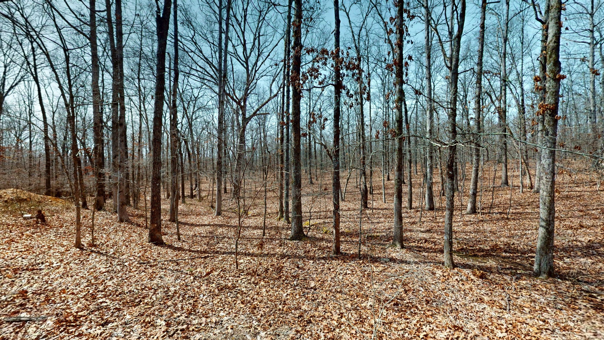122 Lost Arrowhead Road Summertown, TN 38483 - Photo 32 of 40 Gallery Image 32