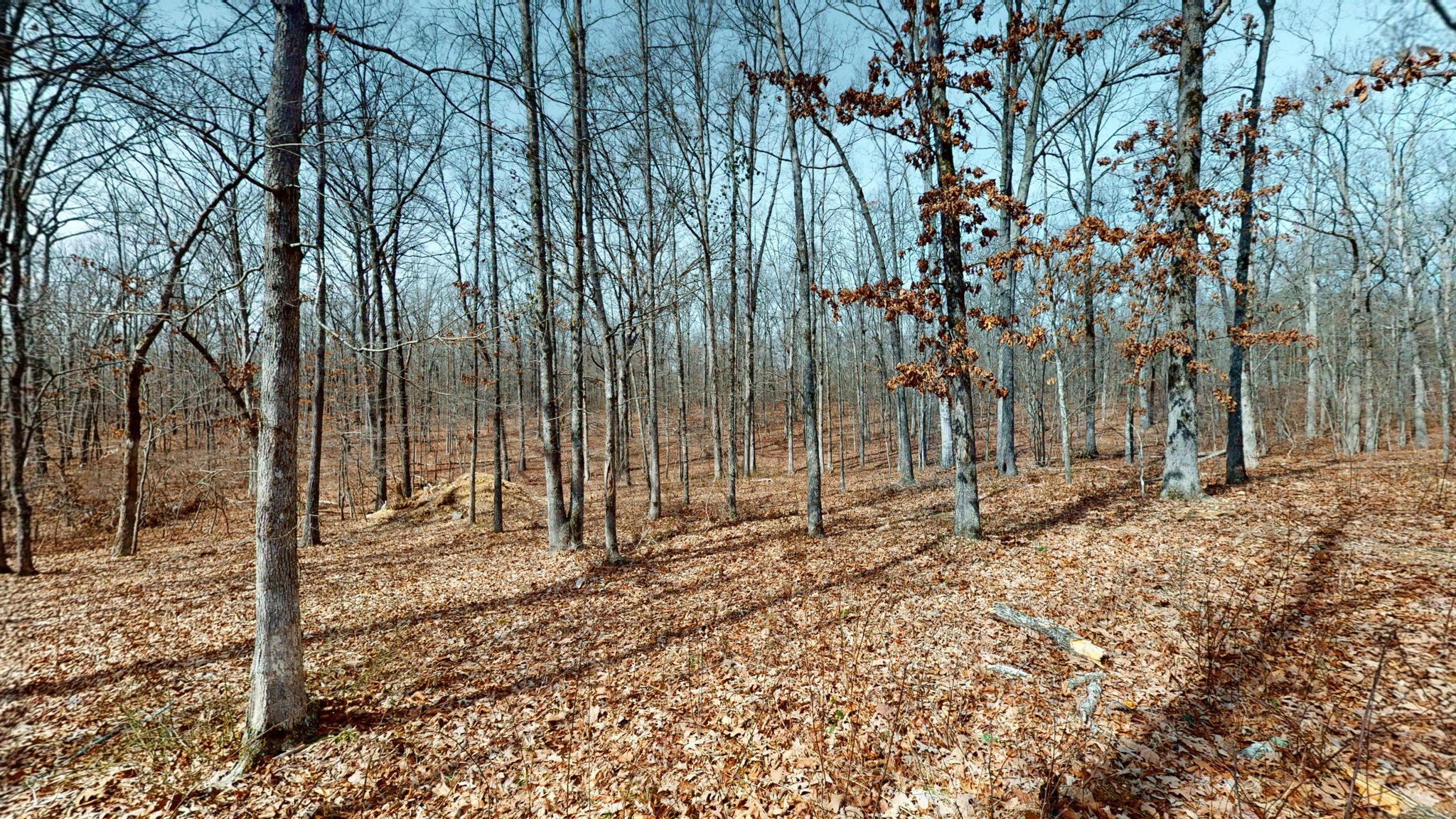 122 Lost Arrowhead Road Summertown, TN 38483 - Photo 33 of 40 Gallery Image 33