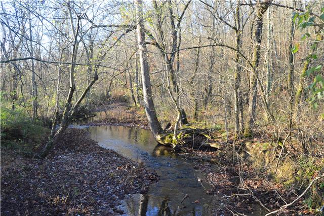 1470 Womble Ridge Road Ethridge, TN 38456 - Photo 1 of 14 View of spring fed stream that has 900 ft on the property.