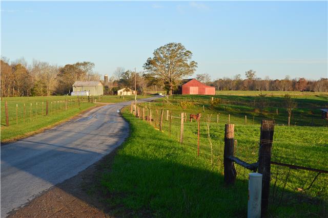 1470 Womble Ridge Road Ethridge, TN 38456 - Photo 2 of 14 View of Rd Frontage on Womble Ridge Rd
