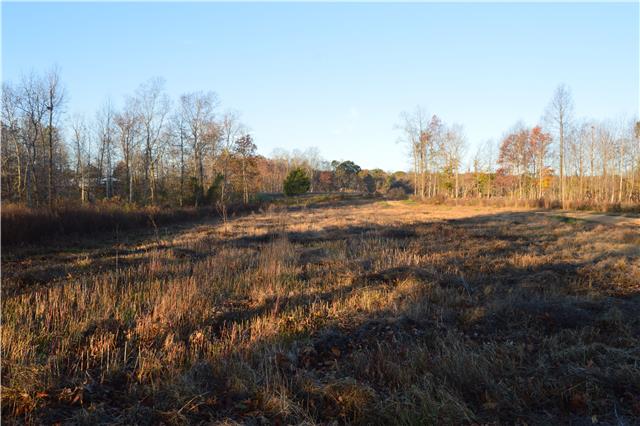 1470 Womble Ridge Road Ethridge, TN 38456 - Photo 6 of 14 Pasture