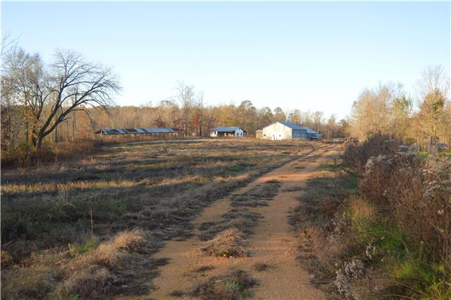 1470 Womble Ridge Road Ethridge, TN 38456 - Photo 7 of 14 View of properties from back side of the property