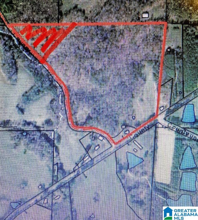 14791 County Road 10 Ranburne, AL 36273 - Photo 29 of 29