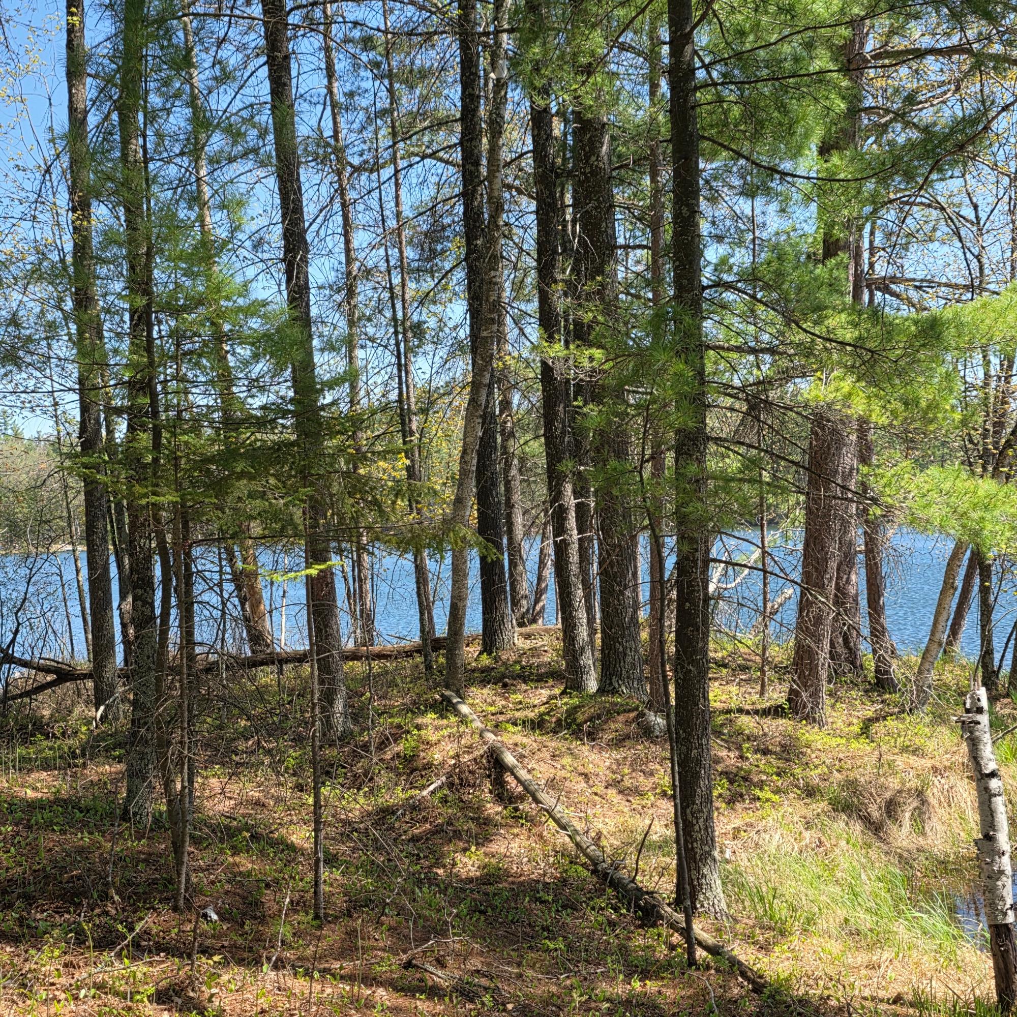 8659 N Bluegill Lake Road Winter, WI 54896 - Photo 11 of 25 Gallery Image 11