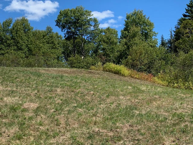 0 Old Rte 1 Jonesboro, ME 04648 - Photo 8 of 25 unnamed-5