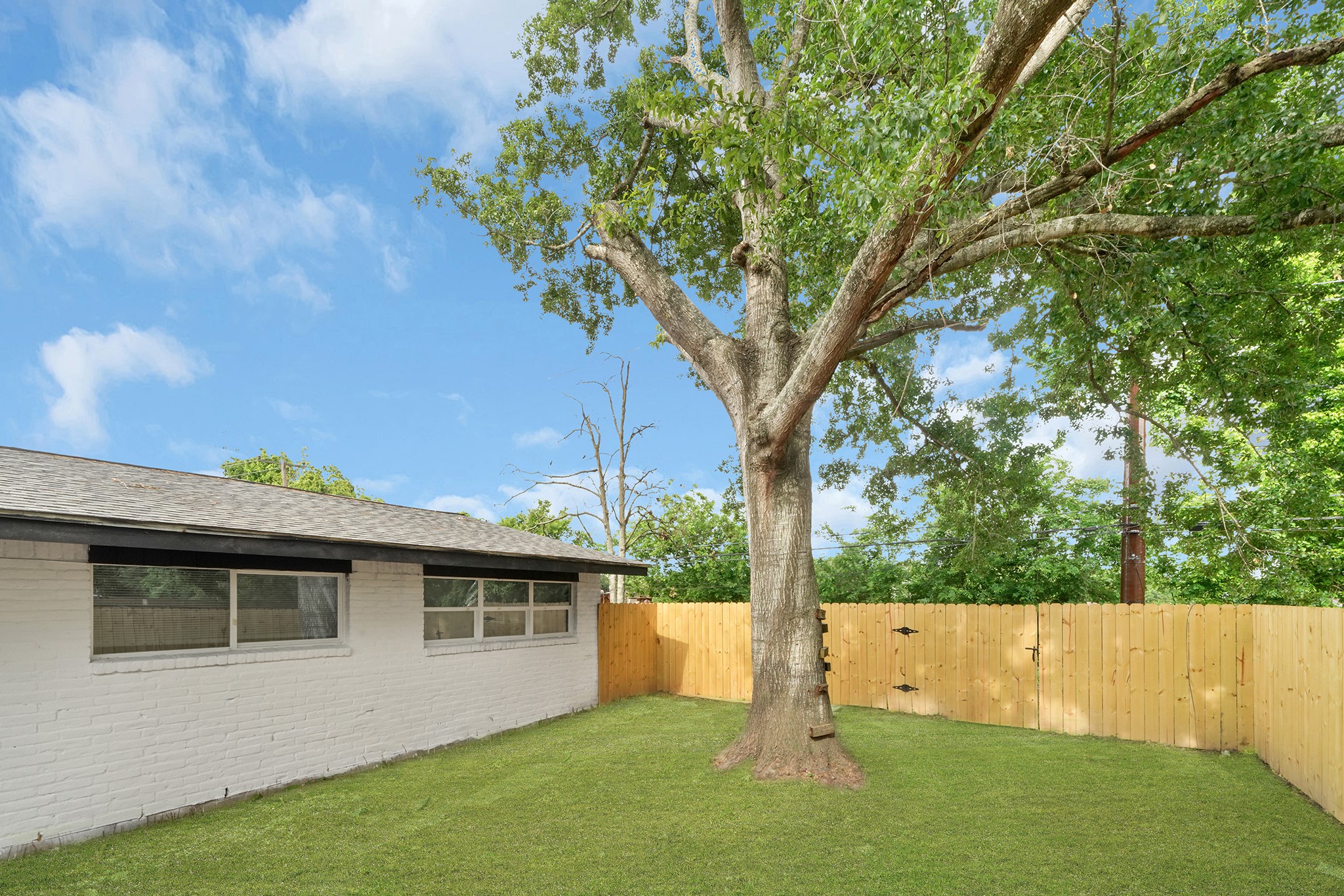 11103 Greenwillow Street Houston, TX 77035 - Photo 25 of 27 a view of house with backyard