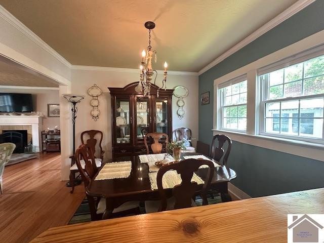 705 West Locust Street Princeton, KY 42445 - Photo 15 of 34 Photo 15