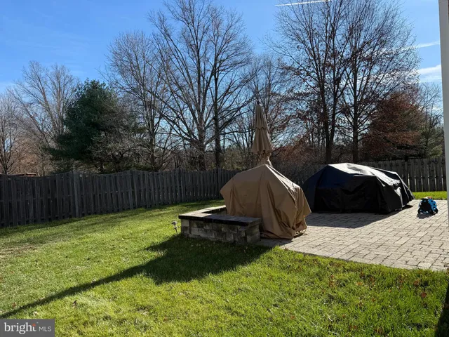 a view of backyard with tree