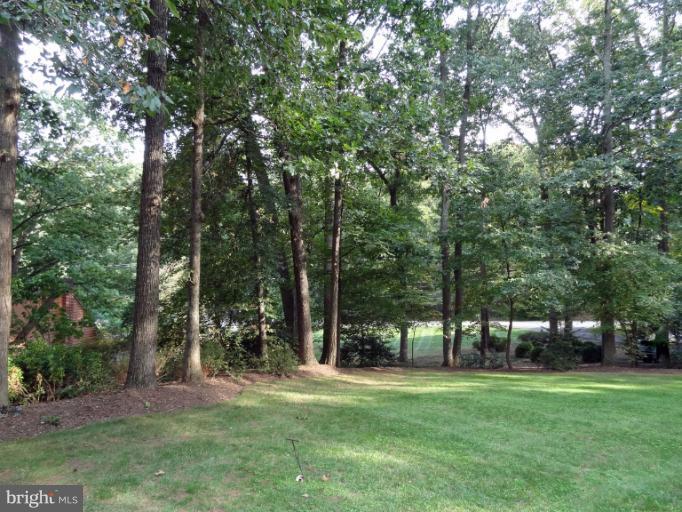 11800 Vale Road Oakton, VA 22124 - Photo 12 of 26 Lush Grounds