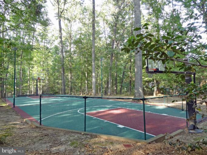 11800 Vale Road Oakton, VA 22124 - Photo 13 of 26 Sport Court
