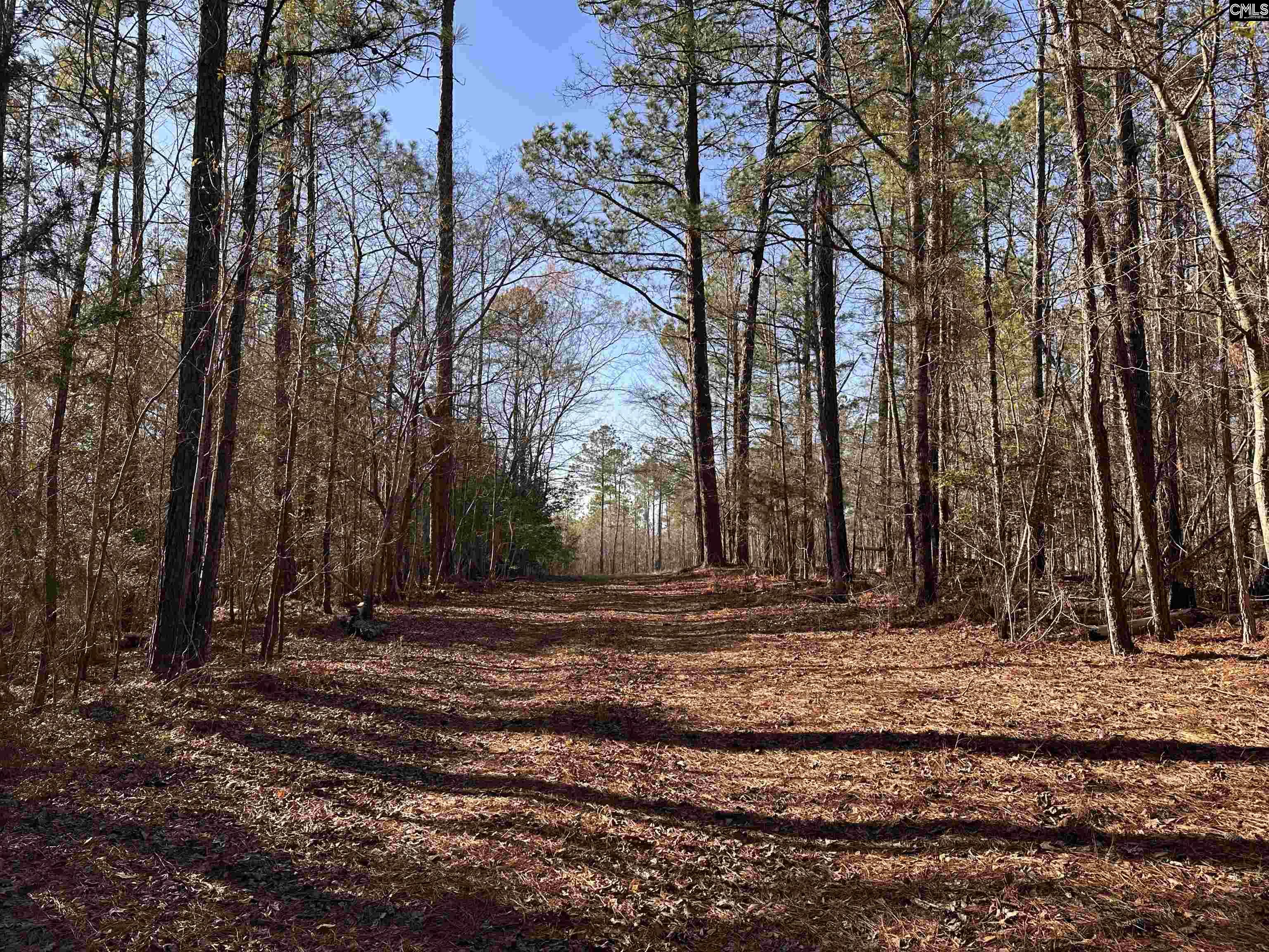495 State Rd S-28-303 Ridgeway, SC 29130 - Photo 8 of 9