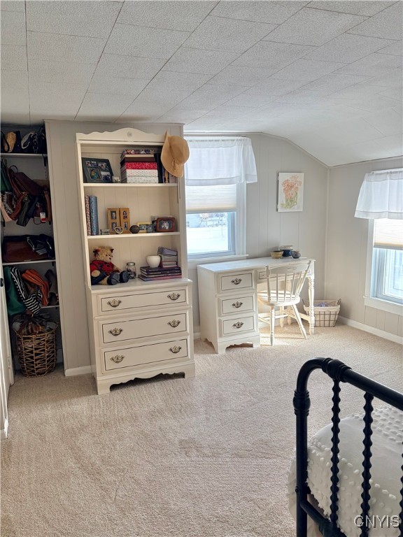 10 Maple Street Auburn, NY 13021 - Photo 19 of 21