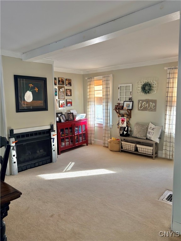 10 Maple Street Auburn, NY 13021 - Photo 6 of 21