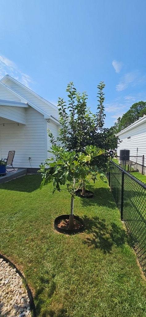 219 Ante Beppum Loop Carrabelle, FL 32322 - Photo 8 of 12