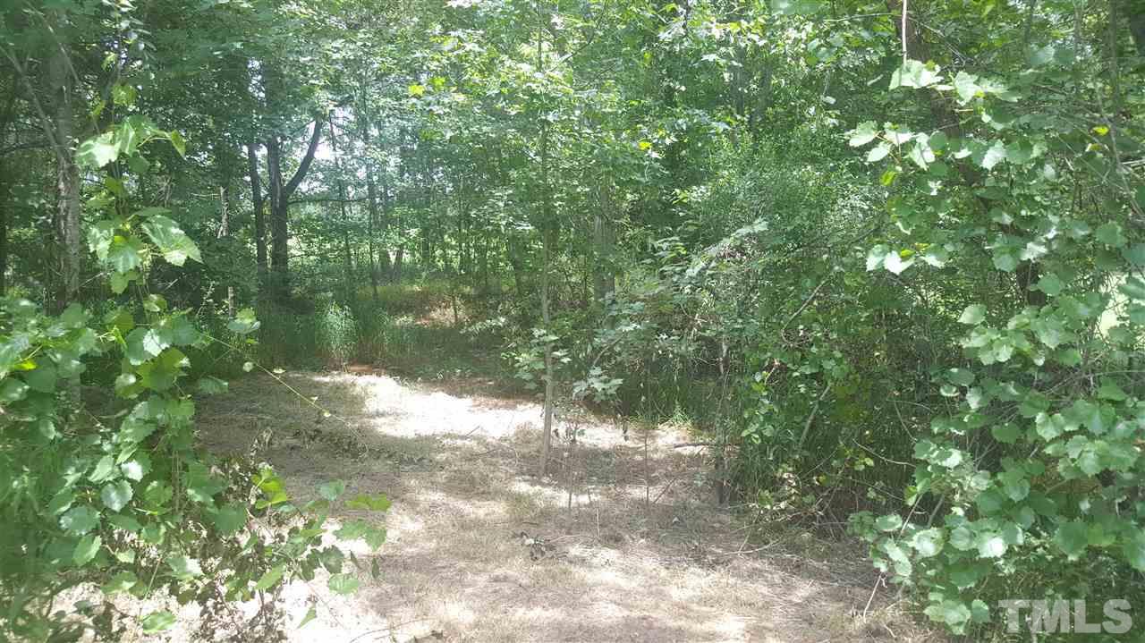 668 Slate Top House Road Clayton, NC 27520 - Photo 11 of 27 Another view of the path!