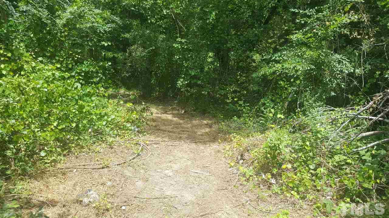 668 Slate Top House Road Clayton, NC 27520 - Photo 9 of 27 There is a Recently cleaned out space that leads down to the Little Stream that runs into the pond.