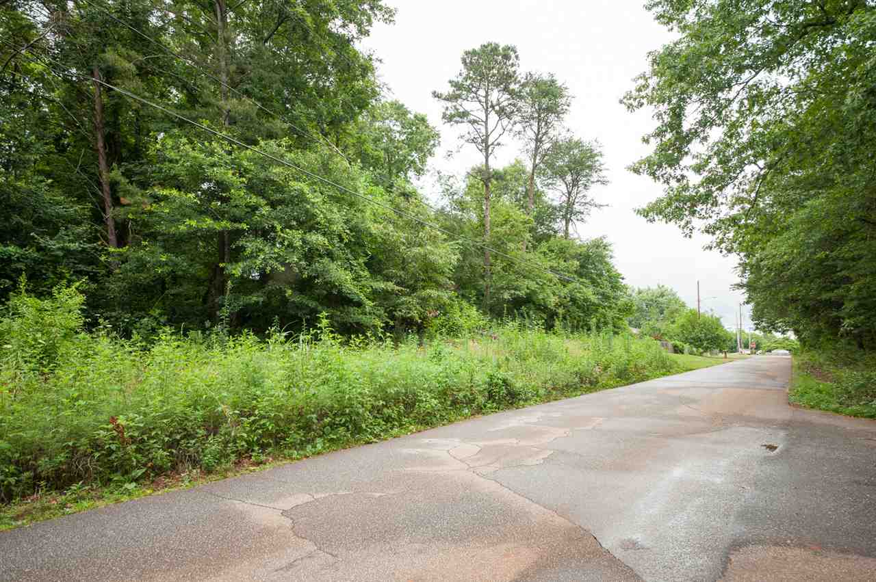 0 Nesbitt Road Wellford, SC 29385 - Photo 3 of 5 Gallery Image 3