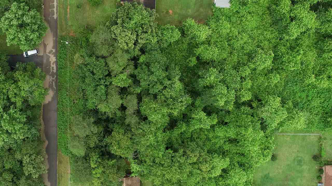 0 Nesbitt Road Wellford, SC 29385 - Photo 5 of 5 Gallery Image 5